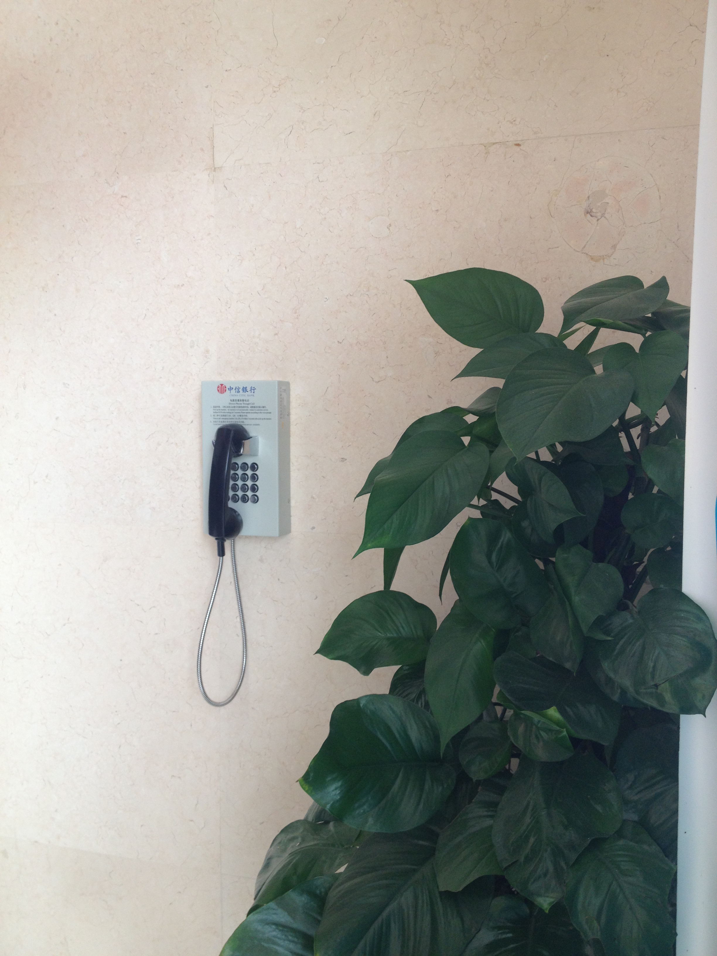 vandal proof telephone