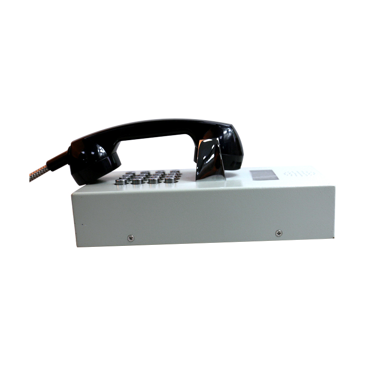 LCD vandal proof telephone